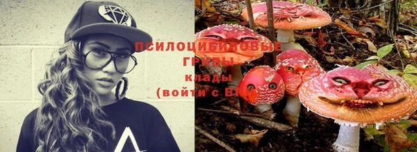 дживик Волосово