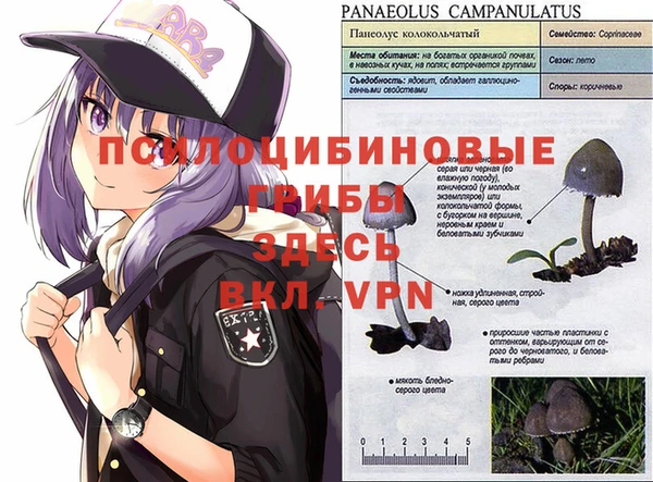 дживик Волосово