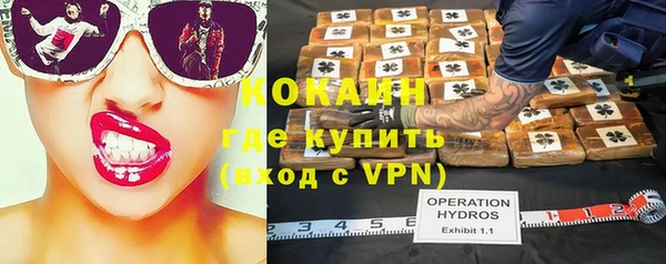гидра Вязьма
