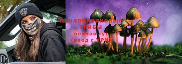 дживик Волосово