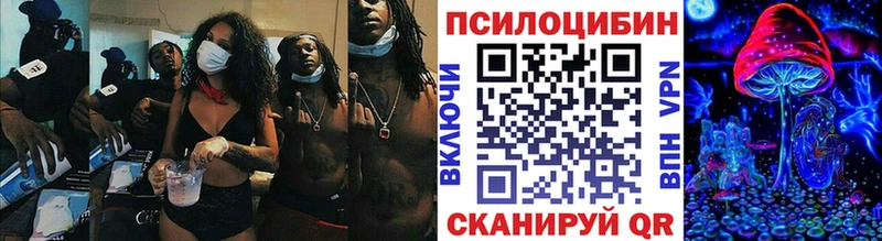 Галлюциногенные грибы Psilocybe  Вязники 